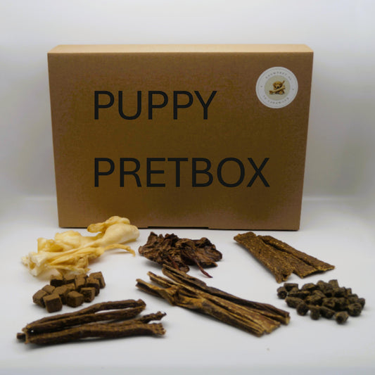 Kauwpretbox puppy