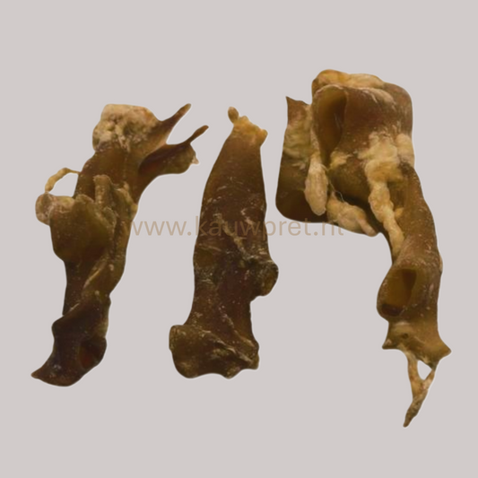 Runderaorta (250gr)