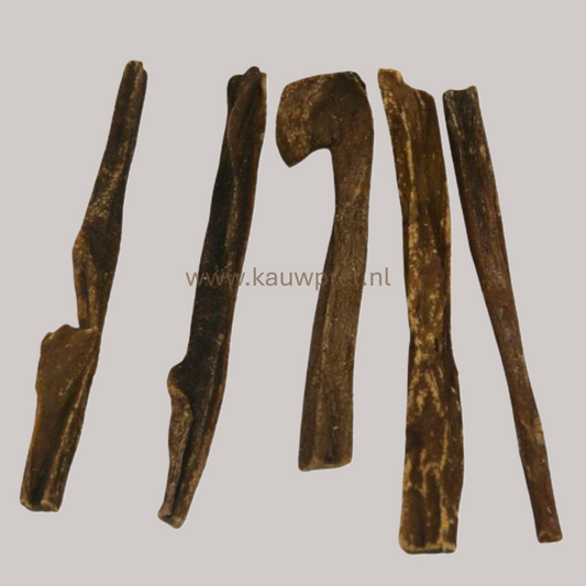 Koeienuier (100gram)