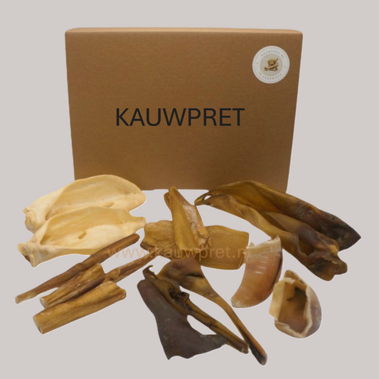 Kauwpretbox kauwbox