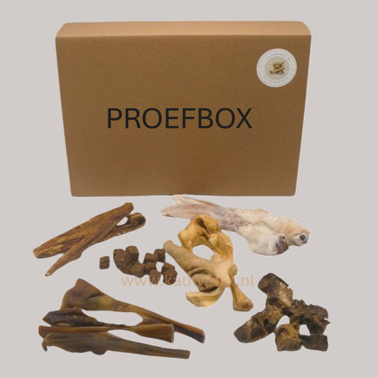 Kennismakingsbox