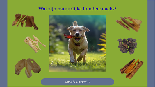Wat zijn natuurlijke hondensnacks?