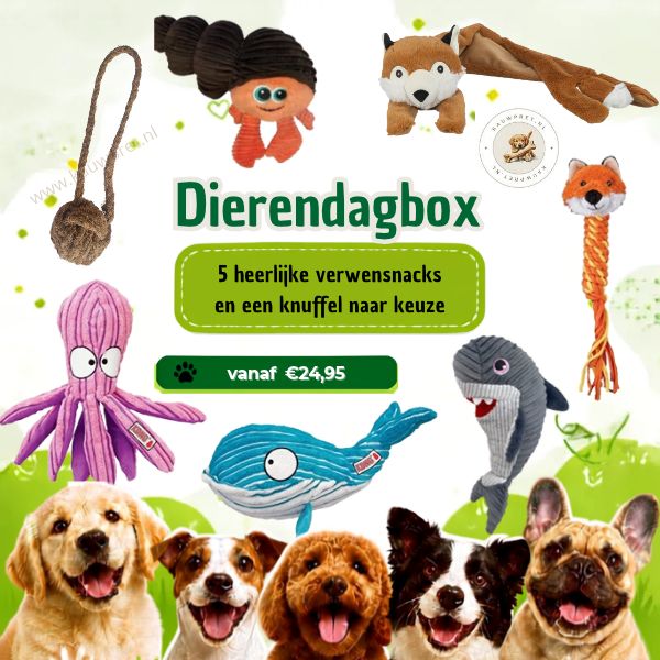 Dierendagbox