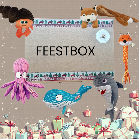 Feestbox