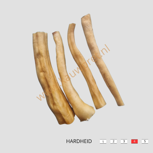 De ossestaart van 15 cm is een smakelijke snack voor honden die graag ergens op kauwen. Een heerlijke traktatie als beloning of als extra verwenmoment.