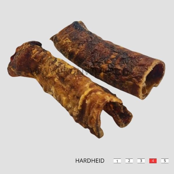 Paardenluchtpijp voor honden: 100% natuurlijke, hypoallergene kauwsnack. Vetarm, gezond en goed voor het gebit. Perfect als gezonde snack.